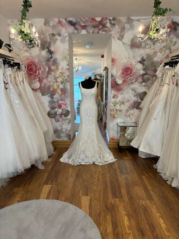 WHITE ROSE ’R131’ UK 16/18